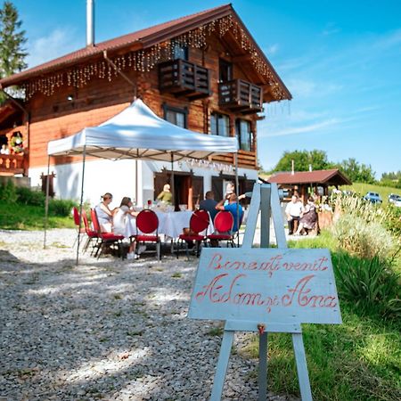 Tulean Cabin Săcel Exteriör bild