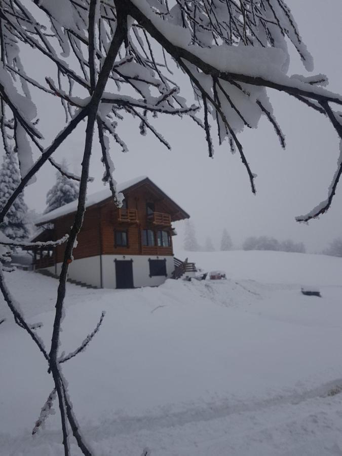 Tulean Cabin Săcel Exteriör bild