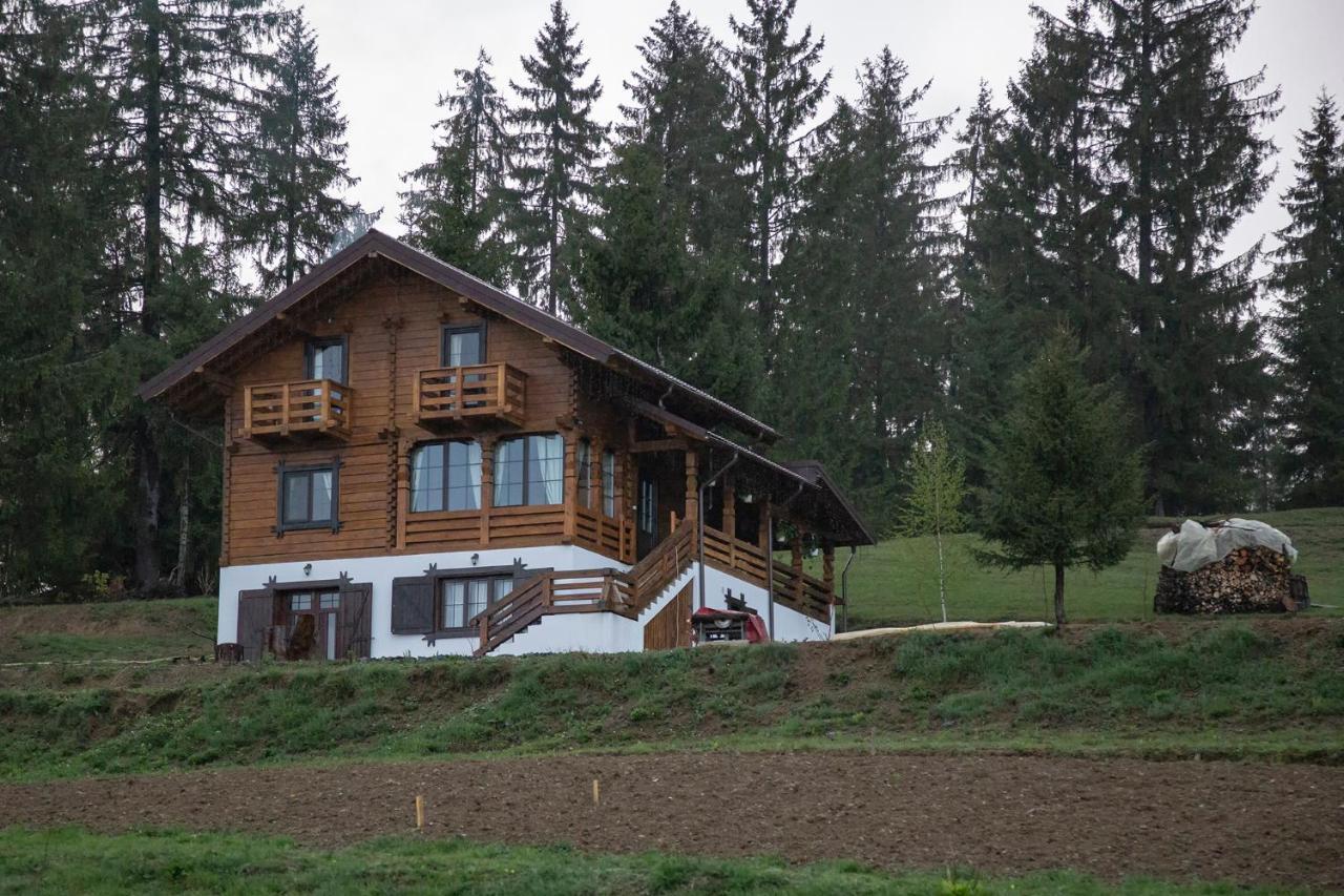 Tulean Cabin Săcel Exteriör bild
