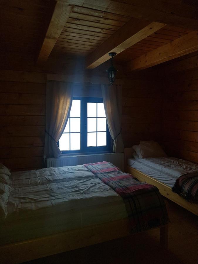 Tulean Cabin Bed and Breakfast Săcel Exteriör bild