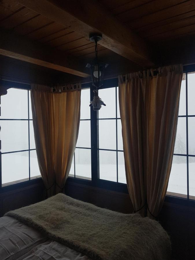 Tulean Cabin Săcel Exteriör bild