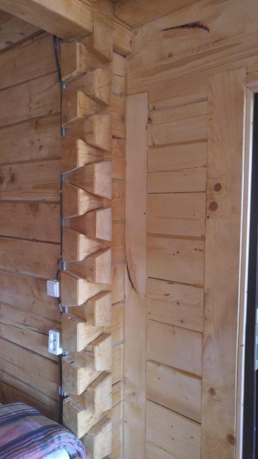 Tulean Cabin Săcel Exteriör bild