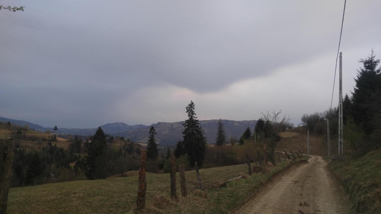 Tulean Cabin Săcel Exteriör bild