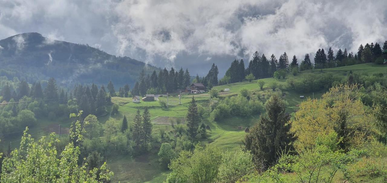 Tulean Cabin Săcel Exteriör bild