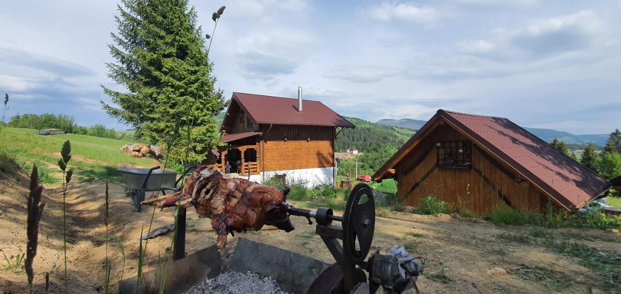 Tulean Cabin Bed and Breakfast Săcel Exteriör bild