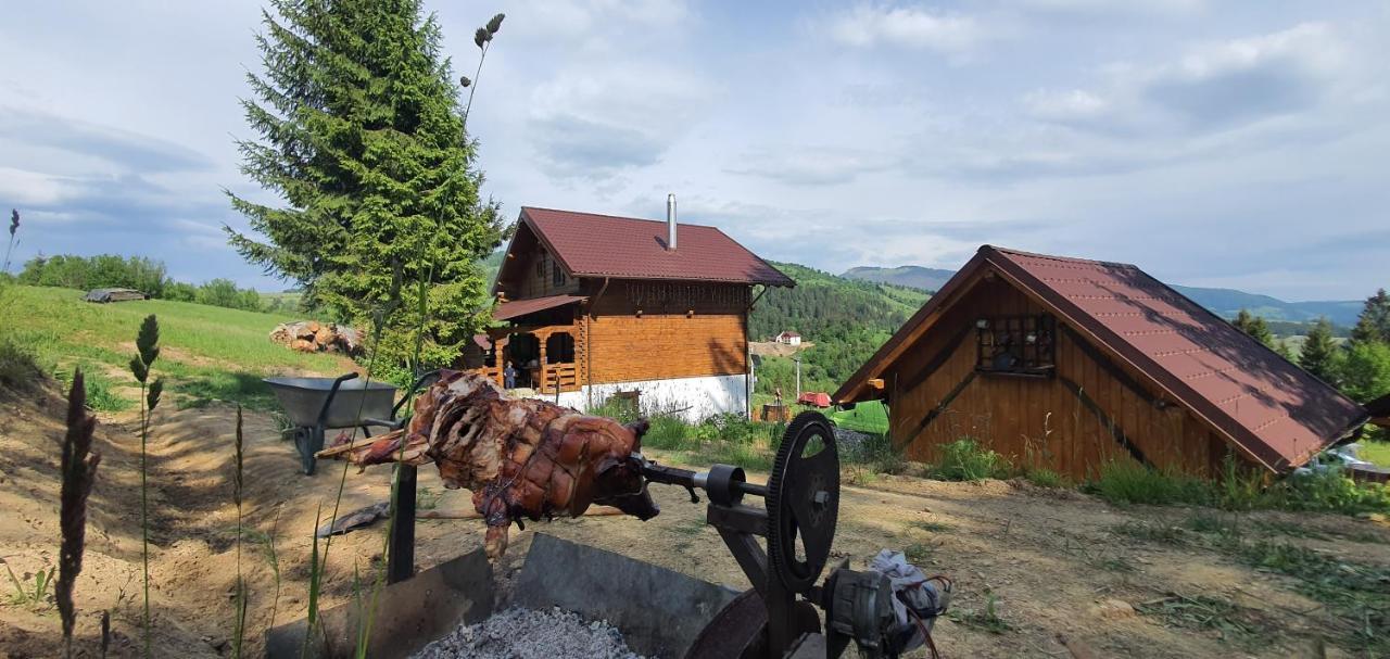 Tulean Cabin Săcel Exteriör bild